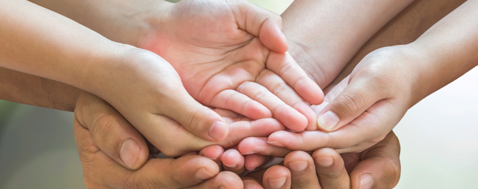 Organizaciones sin Fines de Lucro